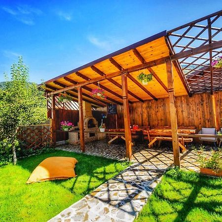 Amandra Chalet Σινάια Εξωτερικό φωτογραφία