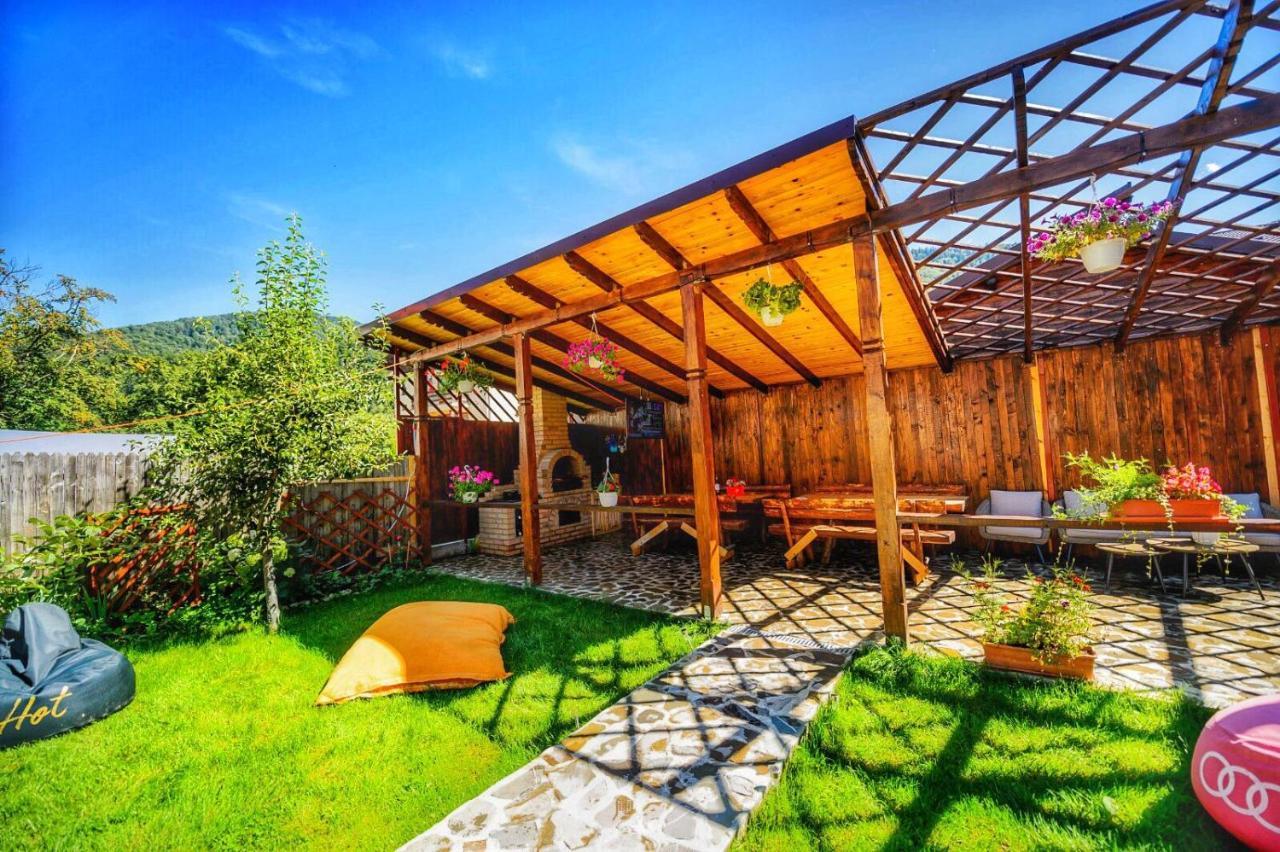 Amandra Chalet Σινάια Εξωτερικό φωτογραφία