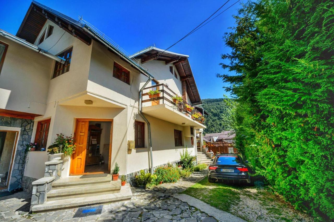 Amandra Chalet Σινάια Εξωτερικό φωτογραφία
