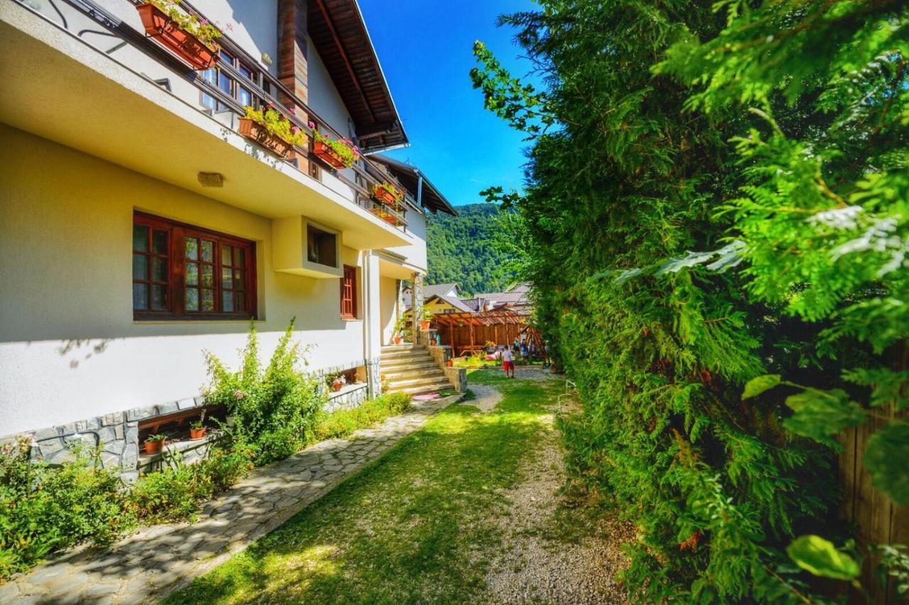 Amandra Chalet Σινάια Εξωτερικό φωτογραφία