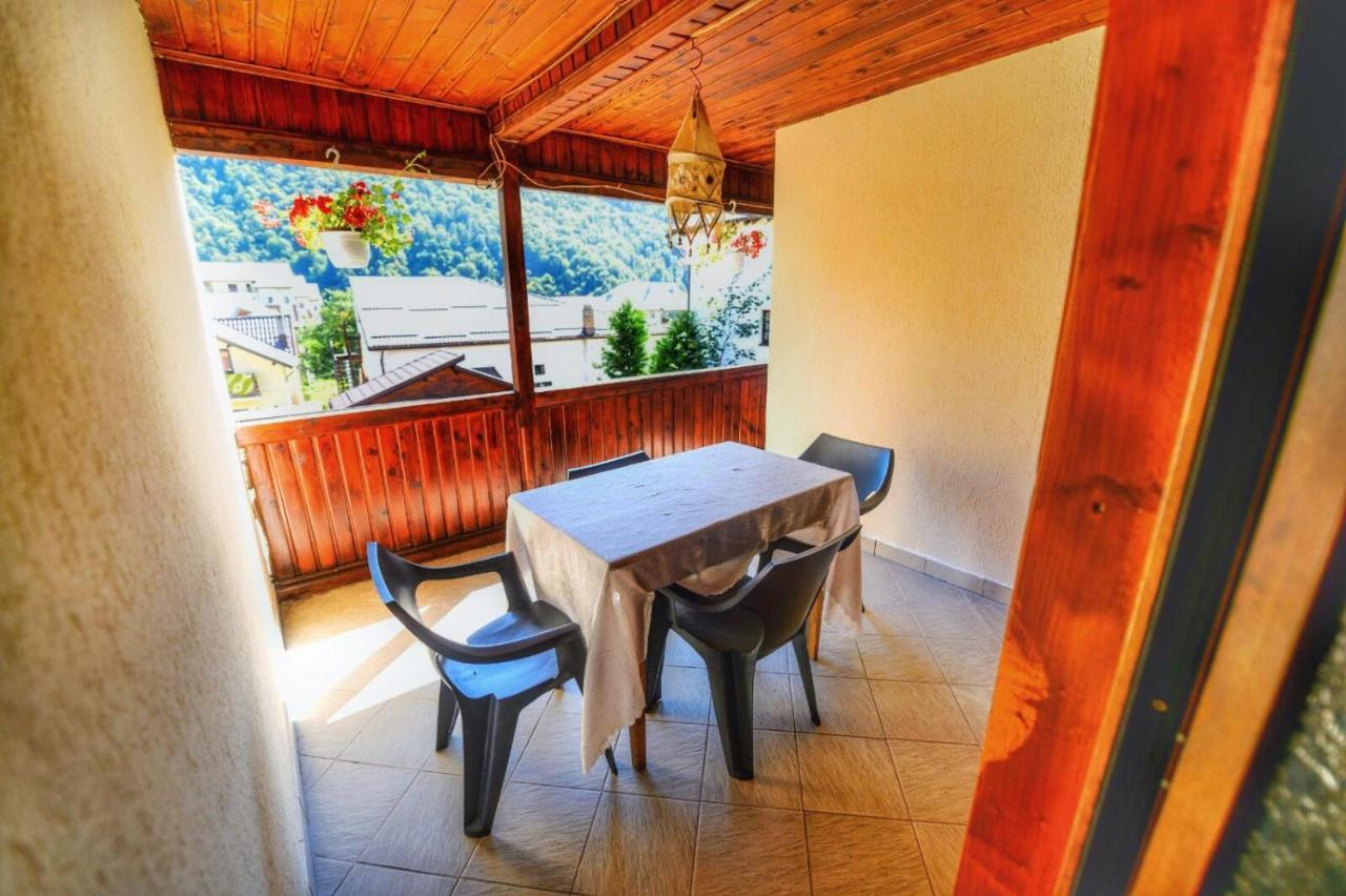 Amandra Chalet Σινάια Εξωτερικό φωτογραφία