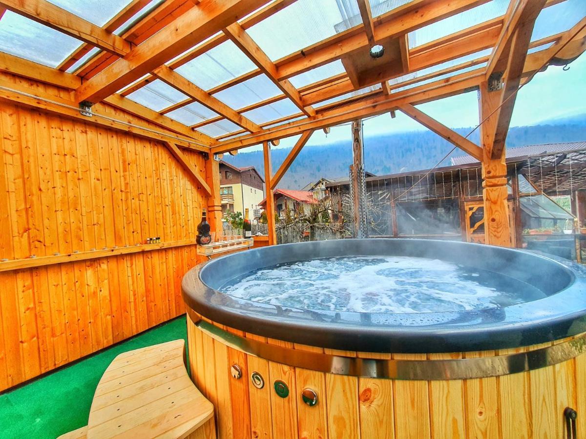 Amandra Chalet Σινάια Εξωτερικό φωτογραφία