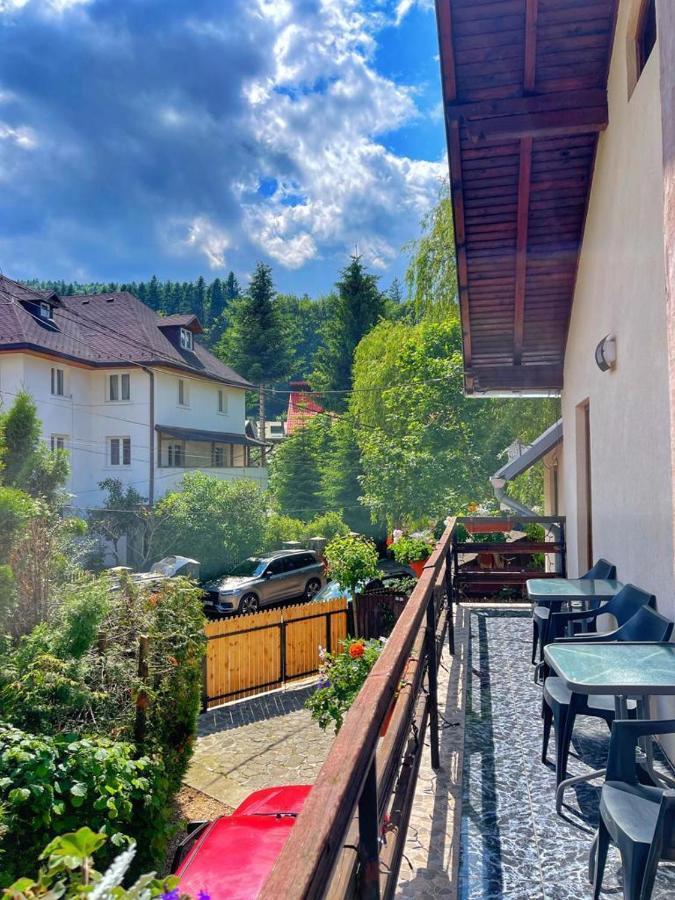 Amandra Chalet Σινάια Εξωτερικό φωτογραφία