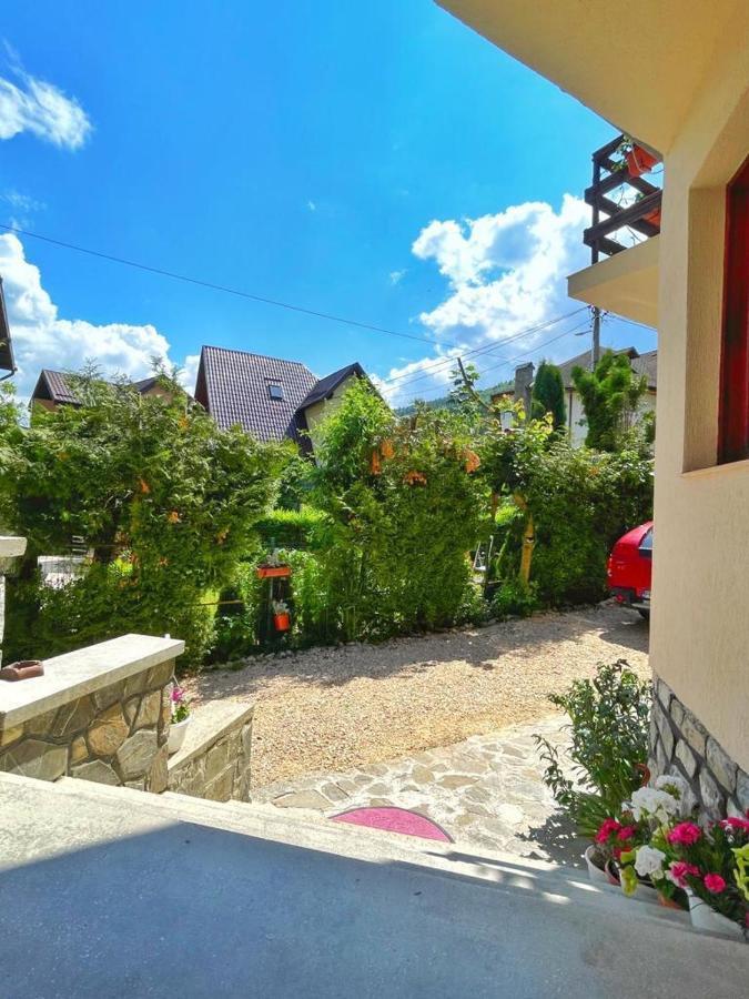 Amandra Chalet Σινάια Εξωτερικό φωτογραφία