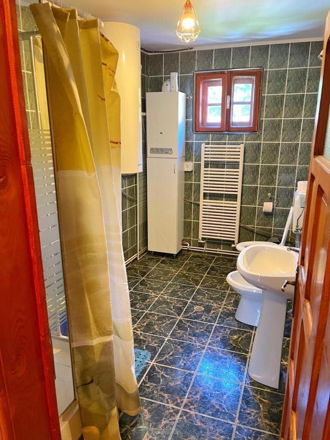 Amandra Chalet Σινάια Εξωτερικό φωτογραφία