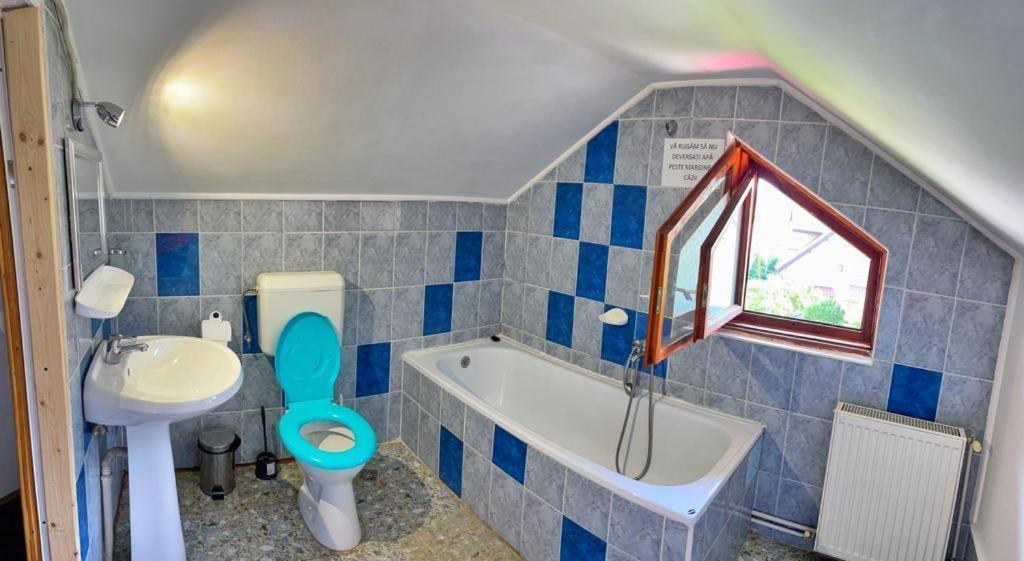 Amandra Chalet Σινάια Εξωτερικό φωτογραφία