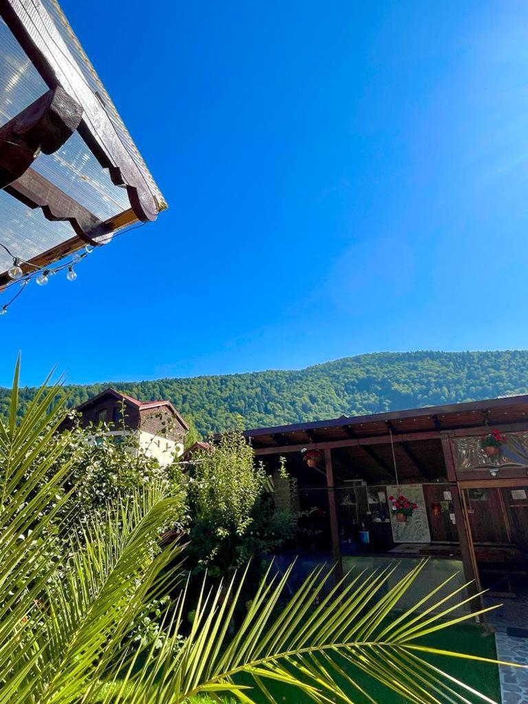 Amandra Chalet Σινάια Εξωτερικό φωτογραφία