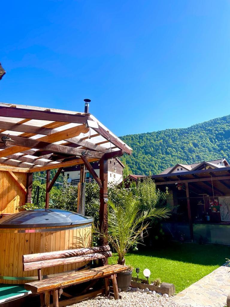 Amandra Chalet Σινάια Εξωτερικό φωτογραφία