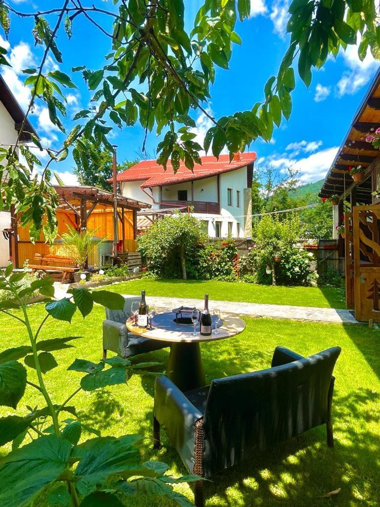 Amandra Chalet Σινάια Εξωτερικό φωτογραφία